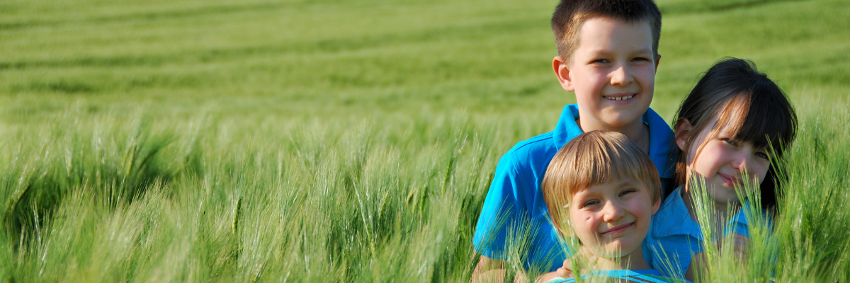 Three children in long grass on a sunny day