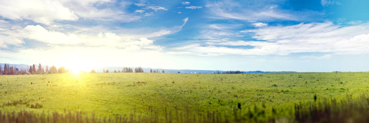 A vast green field and blue skies.