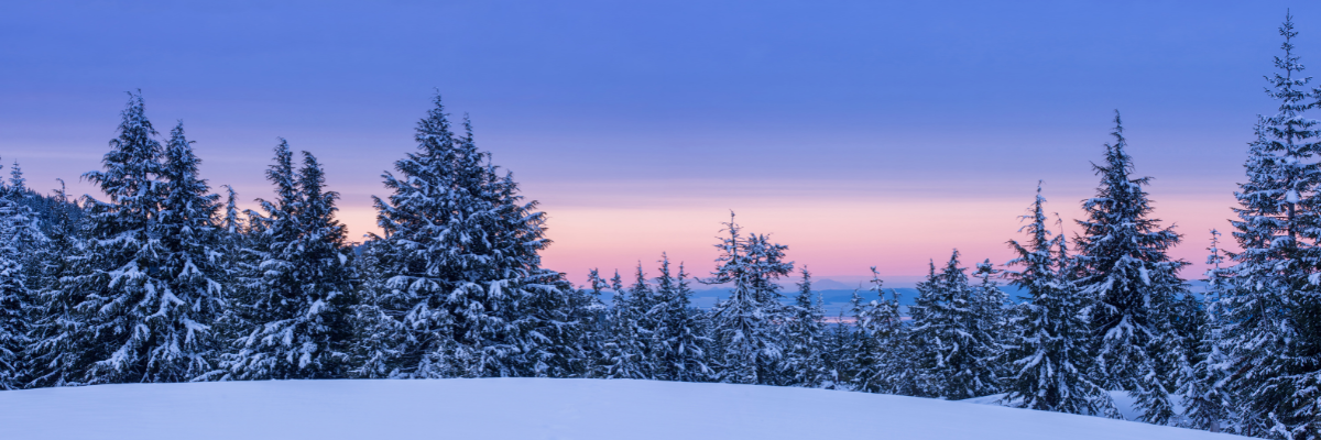 A snowy landscape at dawn