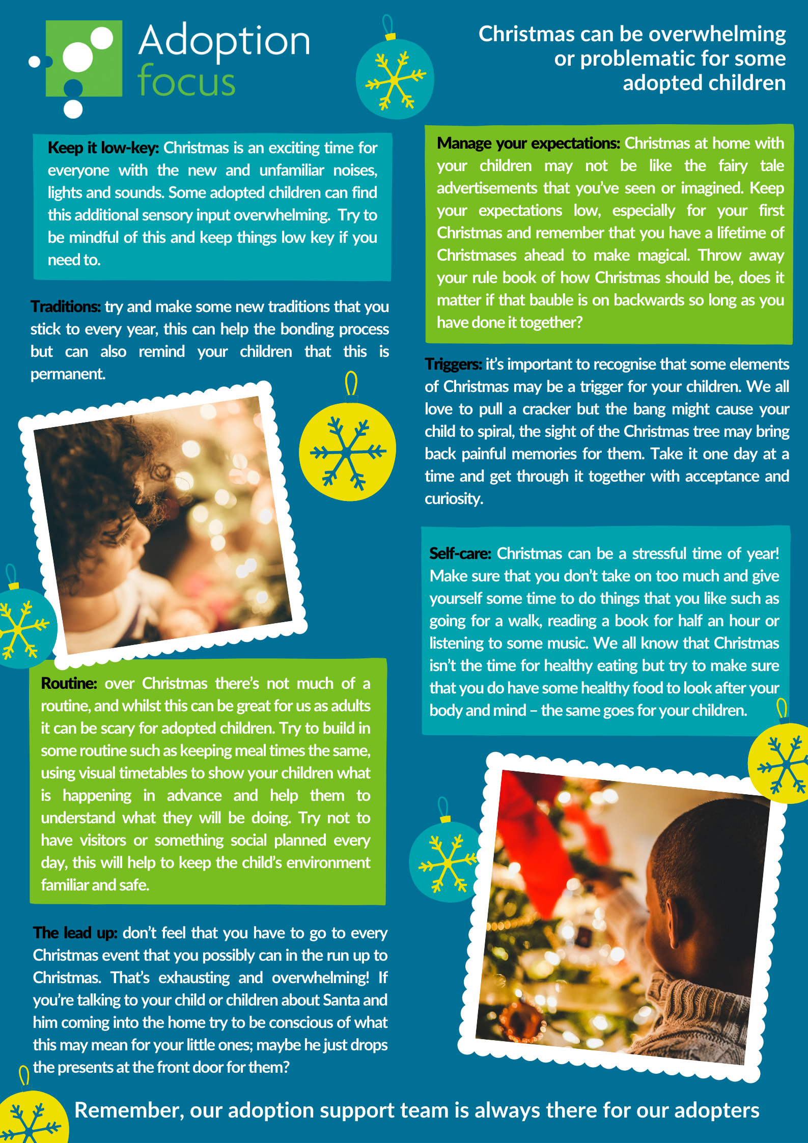 A fact sheet with Christmas tips for adopters