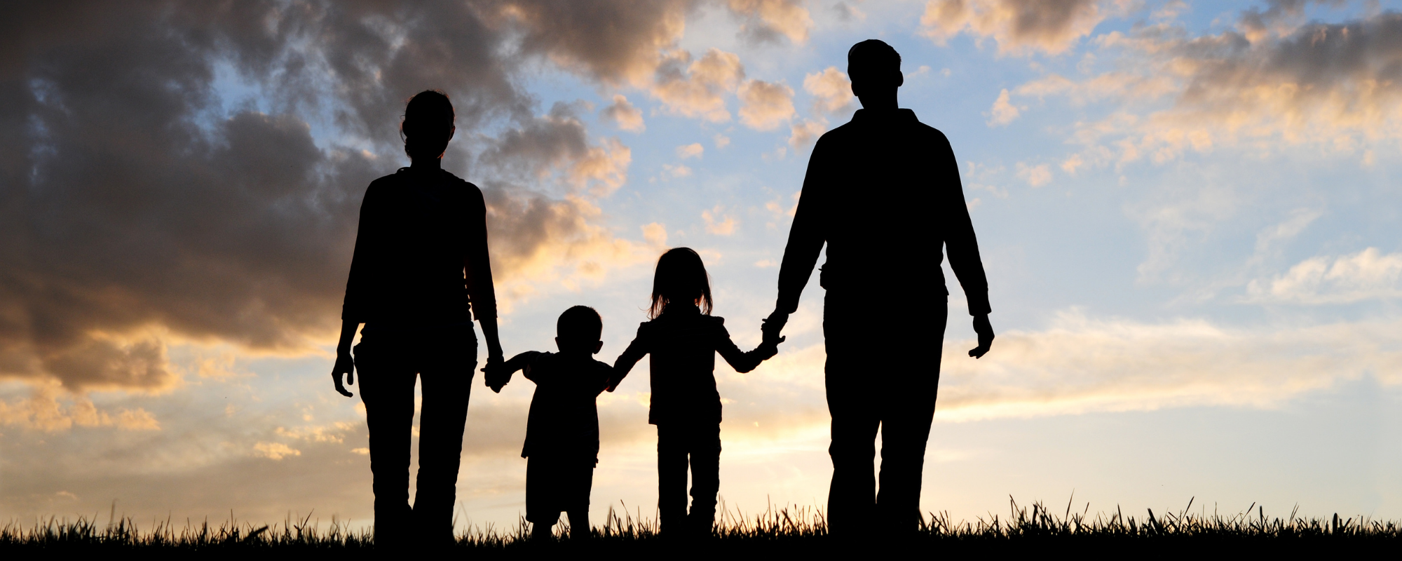 linkmaker adoption linkmaker adoption